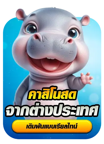 หมูเด้ง888